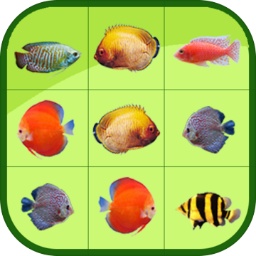 HG0197:COM-WWW:HG0197:COM截图3